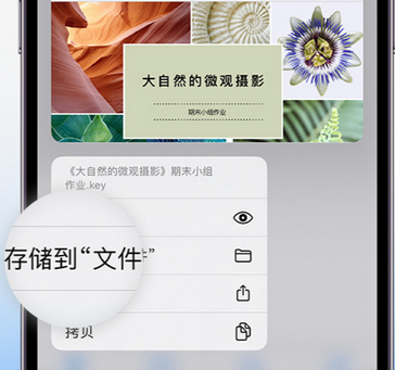 黄陵apple维修中心分享iPhone文件应用中存储和找到下载文件