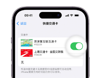 黄陵apple维修点分享iPhone上更换Apple Pay快捷交通卡手绘卡面 