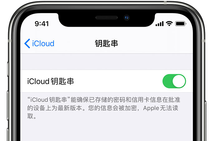 黄陵苹果手机维修分享在 iPhone 上开启 iCloud 钥匙串之后会储存哪些信息 